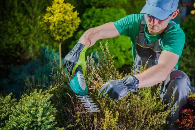 landscaping services Chesapeake